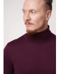 CLE Джемпер муж. 654357ха, т.бордовый