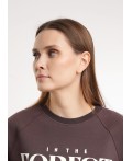 CLE LSW26-100/1 Джемпер жен. Карелия, коричневый