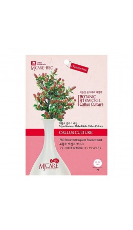 MIJIN Маска тканевая с экстрактом миротамнуса / MJ Care BSC Resurrection Plant Essence Mask, 25 г