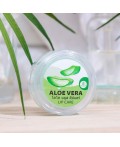 Coco Blues Бальзам для губ алоэ вера / Lip Care Aloe Vera, 5 мл