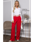 Брюки со стрелками Дэнди (красные) Б14365-30М