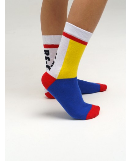 Носки для мальчика, 2 пары в комплекте разноцветный