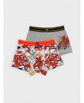 Трусы трикотажные для мальчиков - боксеры, 2 шт в комплекте разноцветный