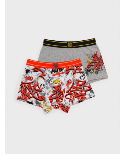 Трусы трикотажные для мальчиков - боксеры, 2 шт в комплекте разноцветный