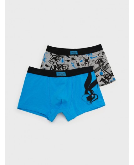 Трусы трикотажные для мальчиков - боксеры, 2 шт в комплекте разноцветный