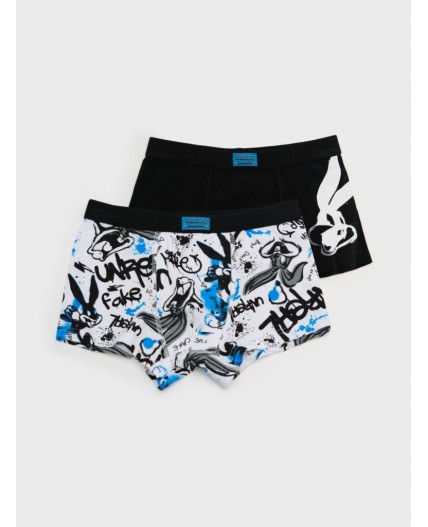 Трусы трикотажные для мальчиков - боксеры, 2 шт в комплекте разноцветный