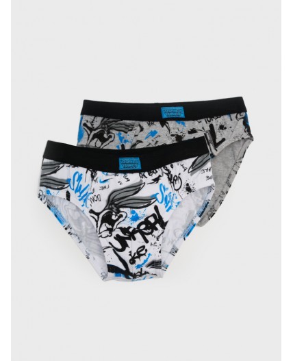 Трусы трикотажные для мальчиков - брифы, 2 шт в комплекте разноцветный