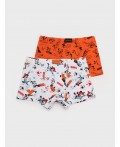 Трусы трикотажные для мальчиков - боксеры, 2 шт в комплекте разноцветный