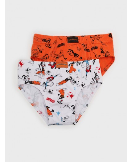 Трусы трикотажные для мальчиков - брифы, 2 шт в комплекте разноцветный