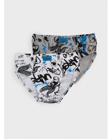 Трусы трикотажные для мальчиков - брифы, 2 шт в комплекте разноцветный