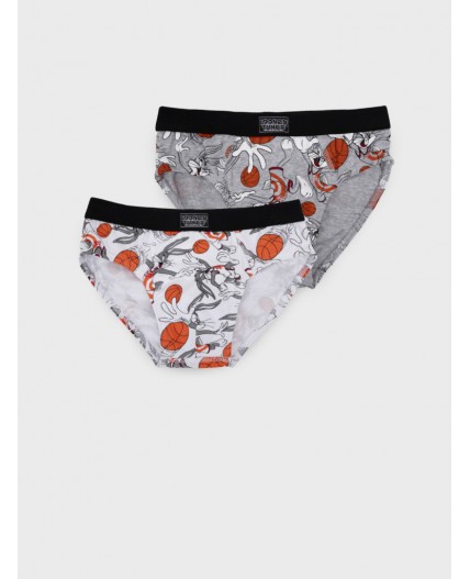 Трусы трикотажные для мальчиков - брифы, 2 шт в комплекте разноцветный