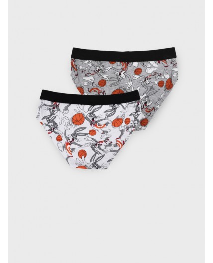 Трусы трикотажные для мальчиков - брифы, 2 шт в комплекте разноцветный