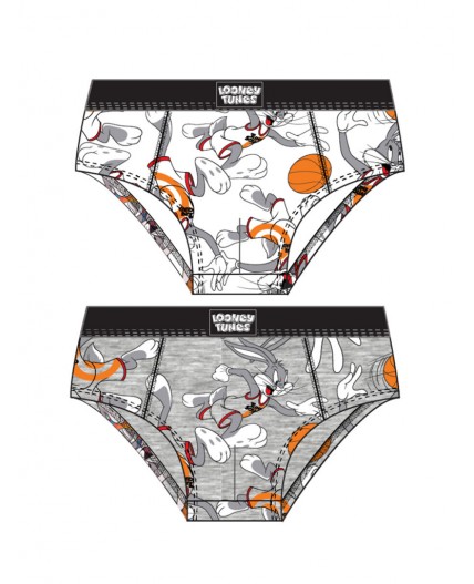 Трусы трикотажные для мальчиков - брифы, 2 шт в комплекте разноцветный