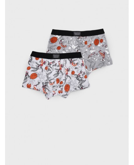 Трусы трикотажные для мальчиков - боксеры, 2 шт в комплекте разноцветный