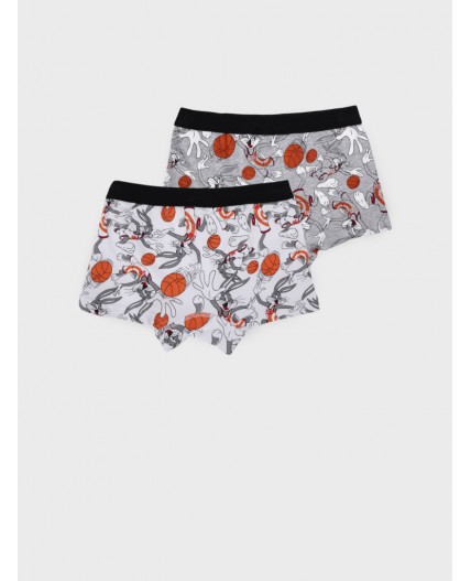 Трусы трикотажные для мальчиков - боксеры, 2 шт в комплекте разноцветный