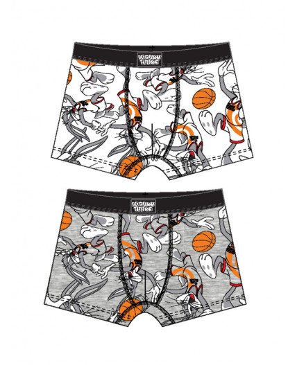 Трусы трикотажные для мальчиков - боксеры, 2 шт в комплекте разноцветный