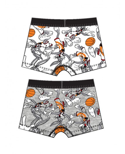 Трусы трикотажные для мальчиков - боксеры, 2 шт в комплекте разноцветный