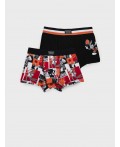 Трусы трикотажные для мальчиков - боксеры, 2 шт в комплекте разноцветный