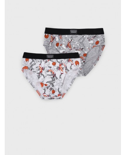 Трусы трикотажные для мальчиков - брифы, 2 шт в комплекте разноцветный