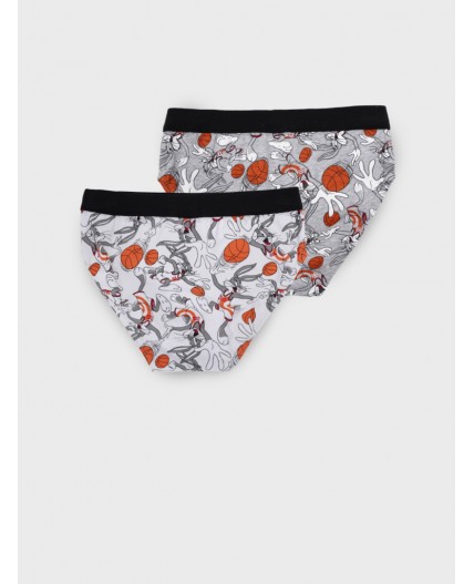 Трусы трикотажные для мальчиков - брифы, 2 шт в комплекте разноцветный