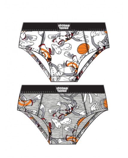 Трусы трикотажные для мальчиков - брифы, 2 шт в комплекте разноцветный