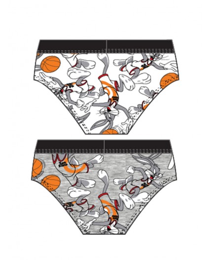 Трусы трикотажные для мальчиков - брифы, 2 шт в комплекте разноцветный