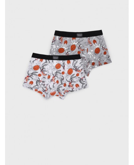 Трусы трикотажные для мальчиков - боксеры, 2 шт в комплекте разноцветный