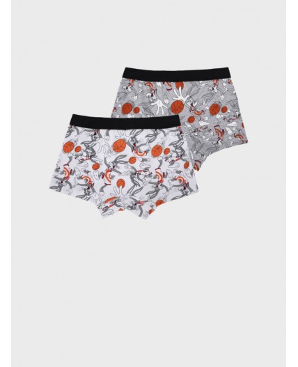 Трусы трикотажные для мальчиков - боксеры, 2 шт в комплекте разноцветный