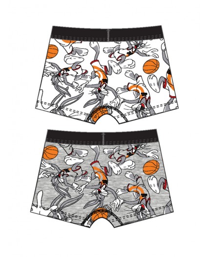 Трусы трикотажные для мальчиков - боксеры, 2 шт в комплекте разноцветный