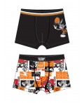 Трусы трикотажные для мальчиков - боксеры, 2 шт в комплекте разноцветный