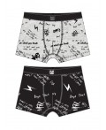 Трусы трикотажные мужские - боксеры, 2 шт в комплекте серый,черный