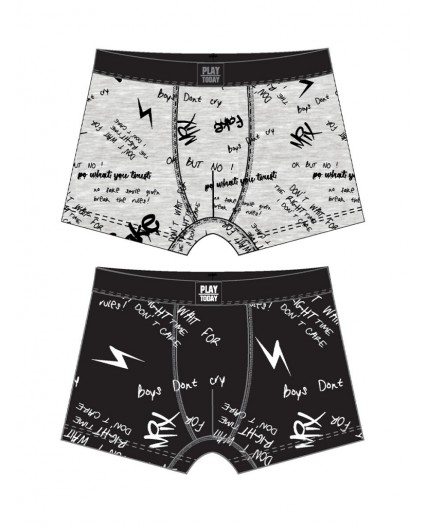 Трусы трикотажные мужские - боксеры, 2 шт в комплекте серый,черный