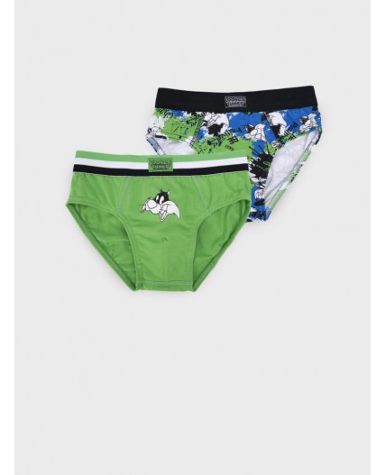 Трусы трикотажные для мальчиков - брифы, 2 шт в комплекте разноцветный