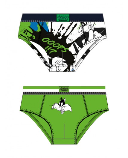 Трусы трикотажные для мальчиков - брифы, 2 шт в комплекте разноцветный