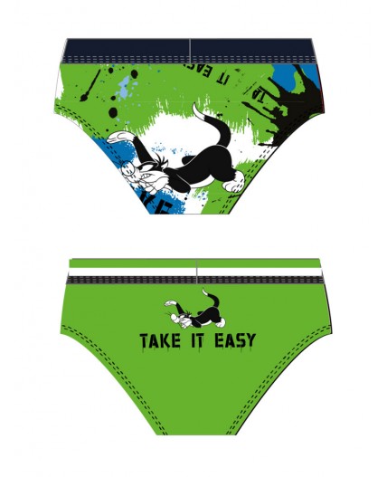 Трусы трикотажные для мальчиков - брифы, 2 шт в комплекте разноцветный