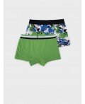 Трусы трикотажные для мальчиков - боксеры, 2 шт в комплекте разноцветный