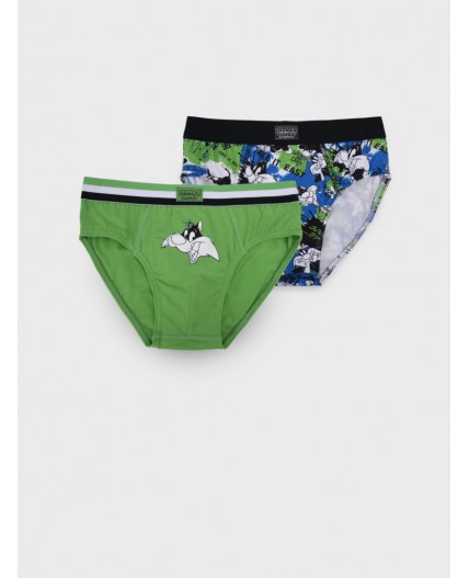 Трусы трикотажные для мальчиков - брифы, 2 шт в комплекте разноцветный