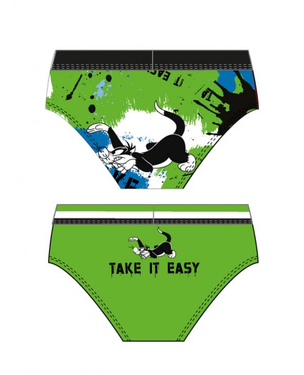 Трусы трикотажные для мальчиков - брифы, 2 шт в комплекте разноцветный