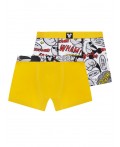 Трусы-боксеры для мальчика , 2 шт. в комплекте разноцветный