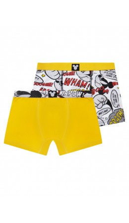 Трусы-боксеры для мальчика , 2 шт. в комплекте разноцветный
