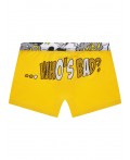 Трусы-боксеры для мальчика , 2 шт. в комплекте разноцветный