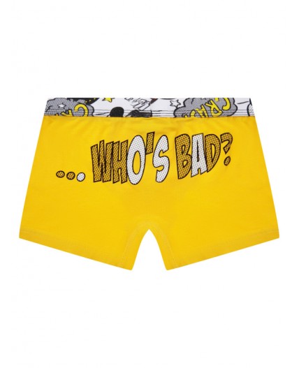 Трусы-боксеры для мальчика , 2 шт. в комплекте разноцветный