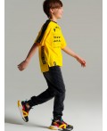 Фуфайка трикотажная для мальчиков (футболка) жёлтый,черный