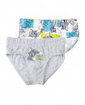 Трусы трикотажные для мальчиков - брифы, 2 шт в комплекте разноцветный,серый меланж