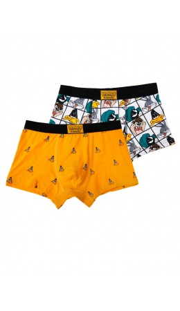 Трусы трикотажные для мальчиков - боксеры, 2 шт в комплекте разноцветный