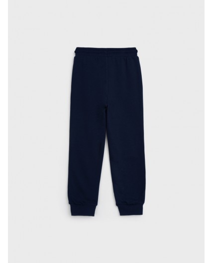 Брюки трикотажные для мальчиков тёмно-синий,красный