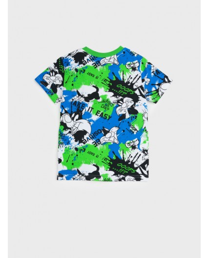 Фуфайка трикотажная для мальчиков (футболка) разноцветный