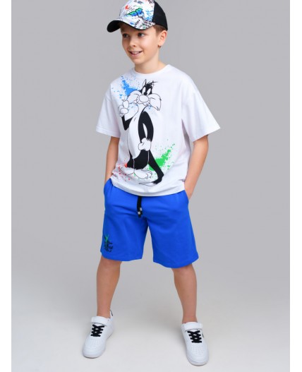 Шорты трикотажные для мальчиков, 2 шт в комплекте разноцветный