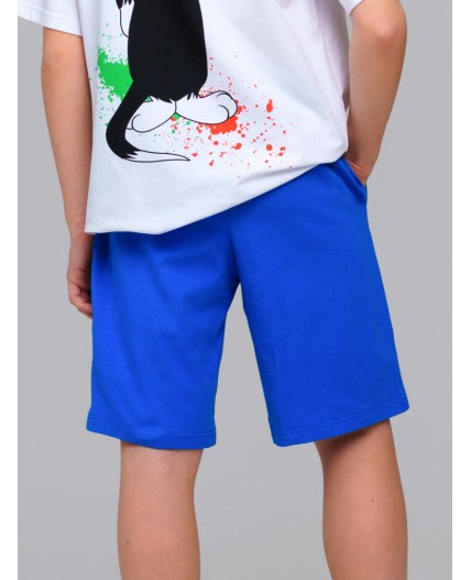 Шорты трикотажные для мальчиков, 2 шт в комплекте разноцветный