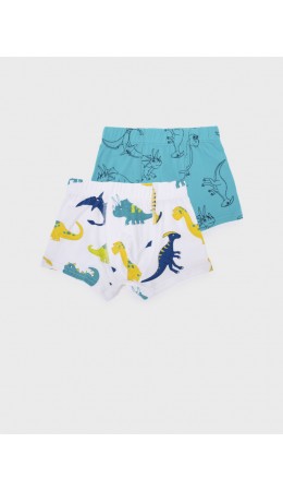 Трусы трикотажные для мальчиков - боксеры, 2 шт в комплекте разноцветный